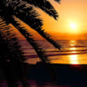 Meet your Posher, Ashlee powell